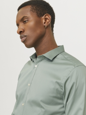 12097662 ICEBERG GREEN