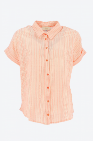840175 54 CORAIL