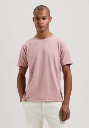 202274-SS25 703 WOODROSE