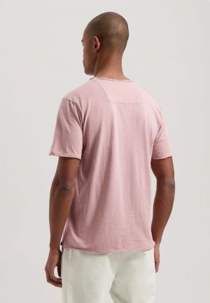 202274-SS25 703 WOODROSE