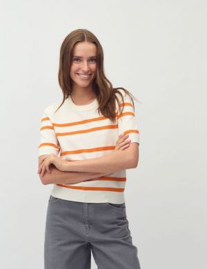 61489407 R97 SUGAR ORANGE PE