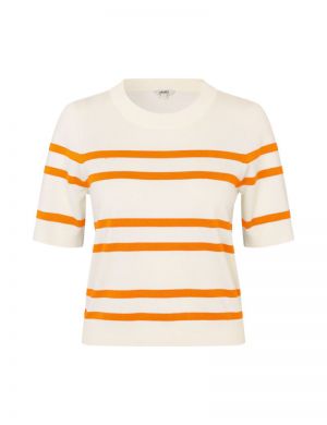 61489407 R97 SUGAR ORANGE PE