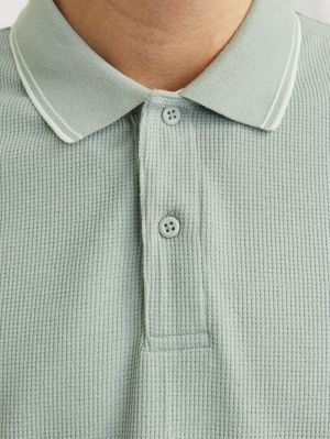 12268130 ICEBERG GREEN