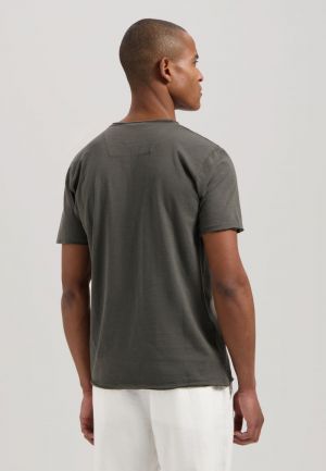 202274-SS25 560 CHIMERA