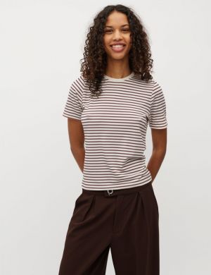 25301122 T26 ROSE BROWN MELA