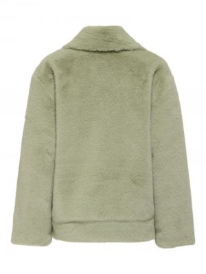 15350360 DESERT SAGE