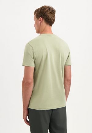 29360775 197 LIGHT MOSS