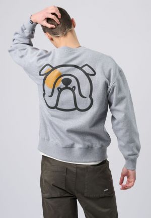 BSW471-L008 204 GREY CHINE