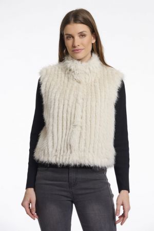 DAVA.7002511 BIRCH BIRCH