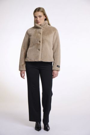 VIE.7002511 OAT OAT