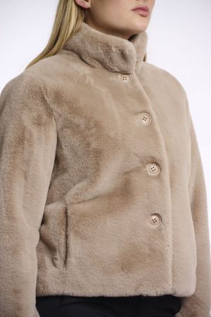 VIE.7002511 OAT OAT