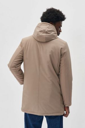 30205571 181112 WALNUT