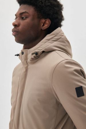 30205571 181112 WALNUT