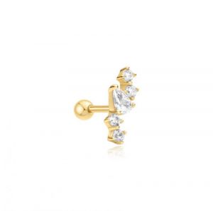 E070-10G GOLD