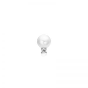 E070-14H SILVER