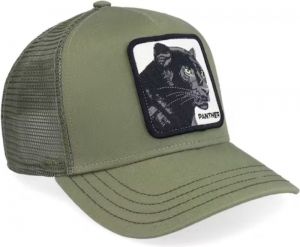 101-0381 OLIVE OLIVE