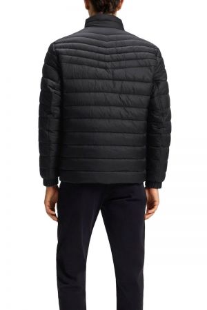 50549252 001 BLACK