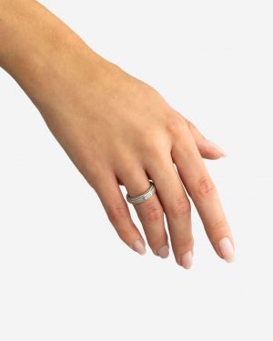 106 SILVER