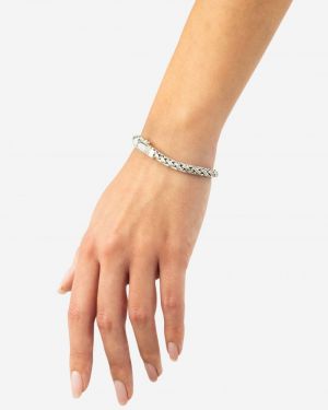 J170 SILVER