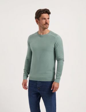 241299 60018 SILVER GREEN