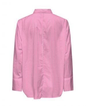 15371427 WILD ORCHID