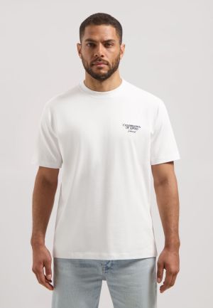 203512 100 WHITE