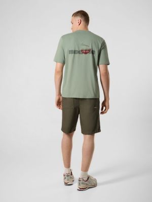 BTS516-L001S 540 GREEN ASH