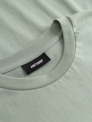 BTS516-L001S 540 GREEN ASH