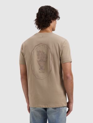 26010106 53 TAUPE