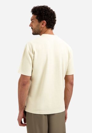 31360231 013 KIT