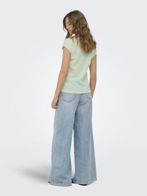 15136069 GREEN LILY