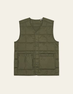 1001361 522 OLIVE NIGHT