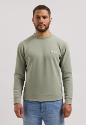 211810 564 GREEN SHADOW