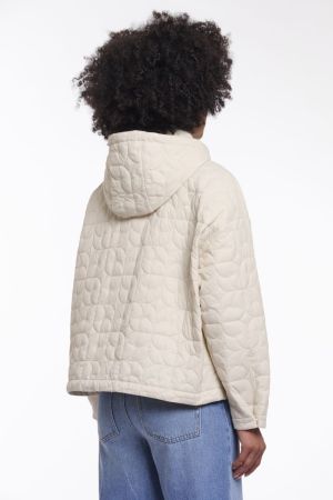 JADA.7002621 BIRCH BIRCH