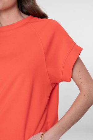 62093-41 220 CORAL