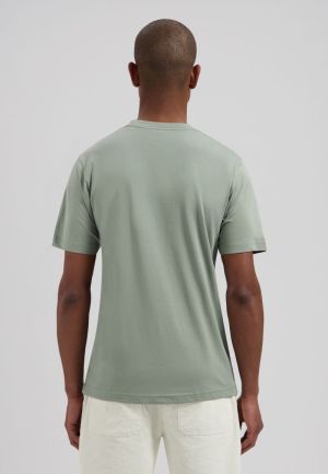 203010 564 GREEN SHADOW