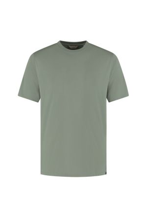 203010 564 GREEN SHADOW