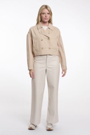 PENNY.7002621 OAT OAT