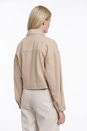 PENNY.7002621 OAT OAT