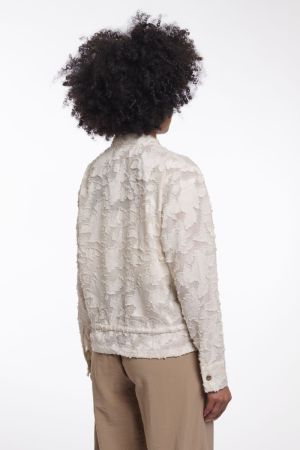 PRIORI.7002621 BIRCH BIRCH