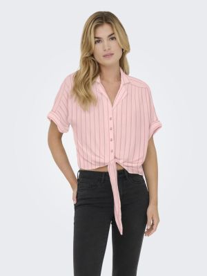 15281497 ROMANCE ROSE
