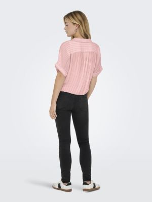 15281497 ROMANCE ROSE