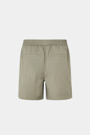 40451 31168 AGAVE GREEN