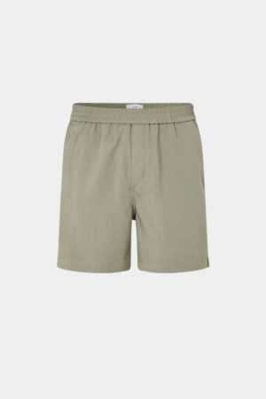 40451 31168 AGAVE GREEN