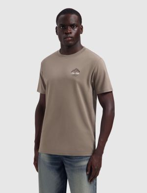 26030102 53 TAUPE