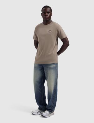 26030102 53 TAUPE