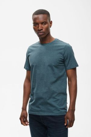 30204781 184215 BLUE MIRAGE