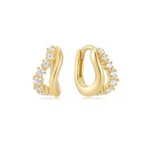 E079-10G GOLD