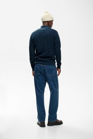 30207192 1941211 BLUE WING TEAL