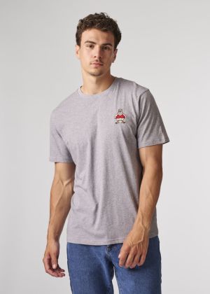 BTS574-L001S 204 GREY CHINE